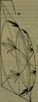 Picture 51 of 89 from St. Mark's rest : the history of Venice written for the help of the few travellers who still care for her monuments (1885), leaf 411