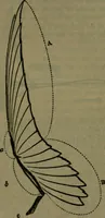 An illustration from St. Mark's rest : the history of Venice written for the help of the few travellers who still care for her monuments (1885)