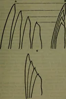 Picture 75 of 89 from St. Mark's rest : the history of Venice written for the help of the few travellers who still care for her monuments (1885), leaf 628