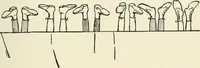 An illustration from St. Nicholas book of plays & operettas (1905)