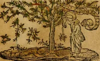 An illustration from Stoicheiosis tes Christianon pisteos = Rudimenta fidei Christianae, siue catechismus : Huic adiunctus nunc est Catechismus alius magis compendarius (1575)