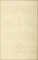 An illustration from The cabinet-maker and upholsterer's companion : comprising the art of drawing, as applicable to cabinet work; veneering, inlaying, and buhl work ... with numerous receipts useful to workman generally (1880)