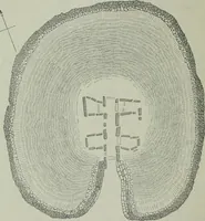 An illustration from Rude stone monuments in all countries : their age and uses (1872)