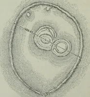 An illustration from Rude stone monuments in all countries : their age and uses (1872)