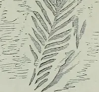 An illustration from Rude stone monuments in all countries : their age and uses (1872)