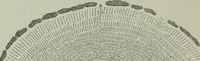 An illustration from Rude stone monuments in all countries : their age and uses (1872)