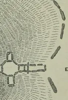 An illustration from Rude stone monuments in all countries : their age and uses (1872)