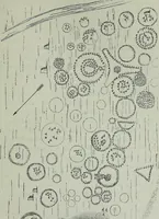 An illustration from Rude stone monuments in all countries : their age and uses (1872)