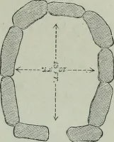 Picture 141 of 201 from Rude stone monuments in all countries : their age and uses (1872), leaf 412