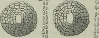 An illustration from Rude stone monuments in all countries : their age and uses (1872)