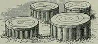 Picture 179 of 201 from Rude stone monuments in all countries : their age and uses (1872), leaf 488