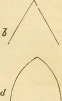 An illustration from The stones of Venice (1851)