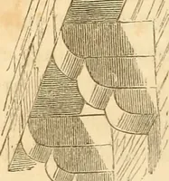 An illustration from The stones of Venice (1851)