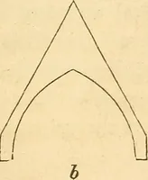 An illustration from The stones of Venice (1851)