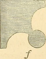 An illustration from The stones of Venice (1851)