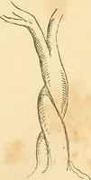 Picture 54 of 62 from The stones of Venice (1851), leaf 326