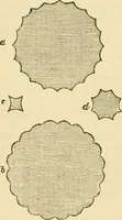 An illustration from The stones of Venice (1851)