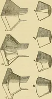 An illustration from The stones of Venice (1851)