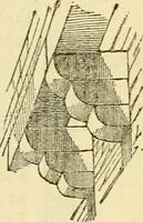 An illustration from The stones of Venice (1851)
