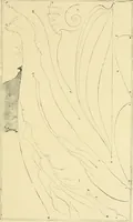 An illustration from The stones of Venice (1851)