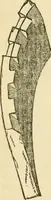 An illustration from The stones of Venice (1851)