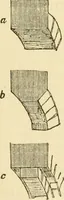 An illustration from The stones of Venice (1851)