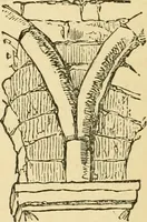 An illustration from The stones of Venice (1851)