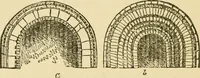 An illustration from The stones of Venice (1851)