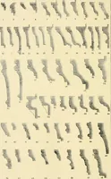 An illustration from The stones of Venice (1851)