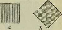 Picture 16 of 125 from The stones of Venice (1890), leaf 114