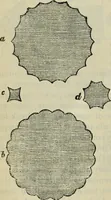 Picture 17 of 125 from The stones of Venice (1890), leaf 115