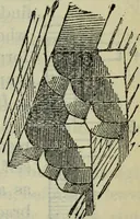 An illustration from The stones of Venice (1890)