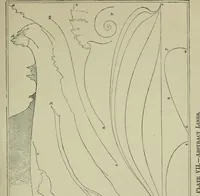 Picture 48 of 125 from The stones of Venice (1890), leaf 246