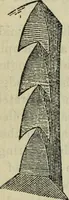 Picture 56 of 125 from The stones of Venice (1890), leaf 297