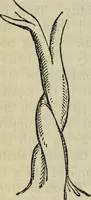 An illustration from The stones of Venice (1890)