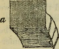 An illustration from The stones of Venice (1890)