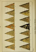 Picture 83 of 125 from The stones of Venice (1890), leaf 539
