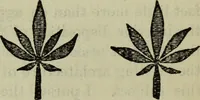 Picture 89 of 125 from The stones of Venice (1890), leaf 630