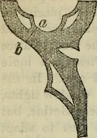 An illustration from The stones of Venice (1890)