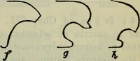 An illustration from The stones of Venice (1890)