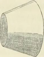 An illustration from The stones of Venice (1851)