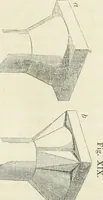 Picture 26 of 113 from The stones of Venice (1851), leaf 128