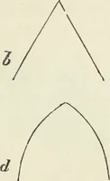 An illustration from The stones of Venice (1851)