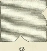 An illustration from The stones of Venice (1851)