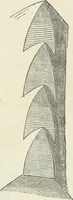 An illustration from The stones of Venice (1851)