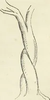 An illustration from The stones of Venice (1851)