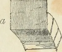 An illustration from The stones of Venice (1851)