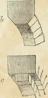 An illustration from The stones of Venice (1851)