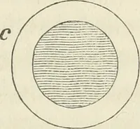 An illustration from The stones of Venice (1851)