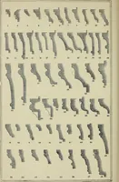 An illustration from The stones of Venice (1890)